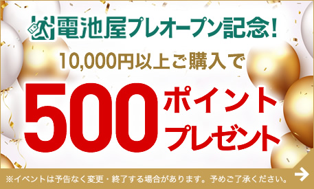 500ポイントプレゼント