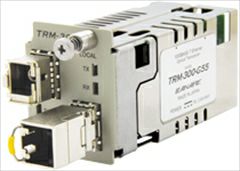 TRM-300-G55　カナレ　1000BASE-T 光コンバータ